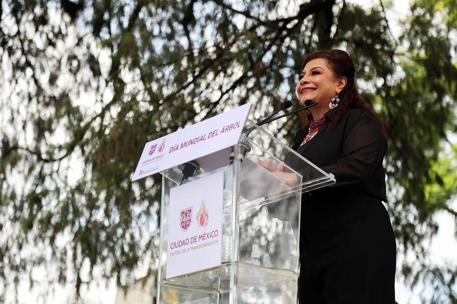 La mandataria anunció la apertura de una  convocatoria ciudadana para declarar a otros ejemplares de la capital como árboles patrimoniales. (Foto: Fernando Zamora/ EL UNIVERSAL)