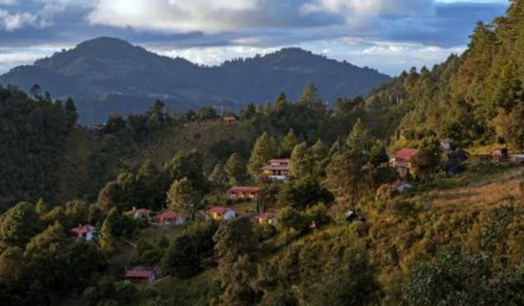 ​¿Qué hacer en Oaxaca?