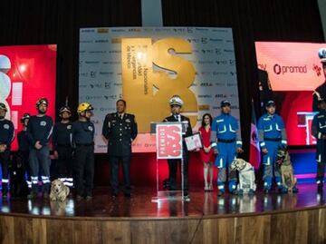 Rescue dogs awarded for their outstanding work