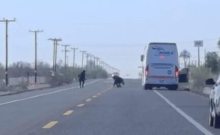 Persecución enciende alertas en carretera federal de Baja California Sur; agresores lanzan ponchallantas y luego huyen
