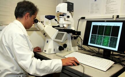 Científicos prueban con éxito vacuna contra la malaria en ratones 