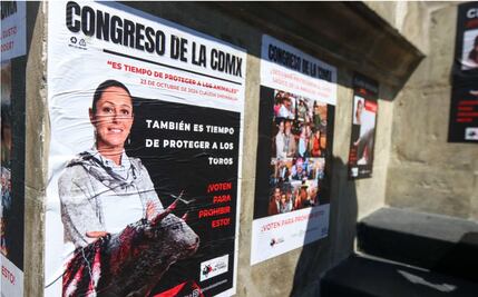 Activistas piden respetar iniciativa contra corridas de toros; denuncian que legisladores no asisten a sesiones de trabajo