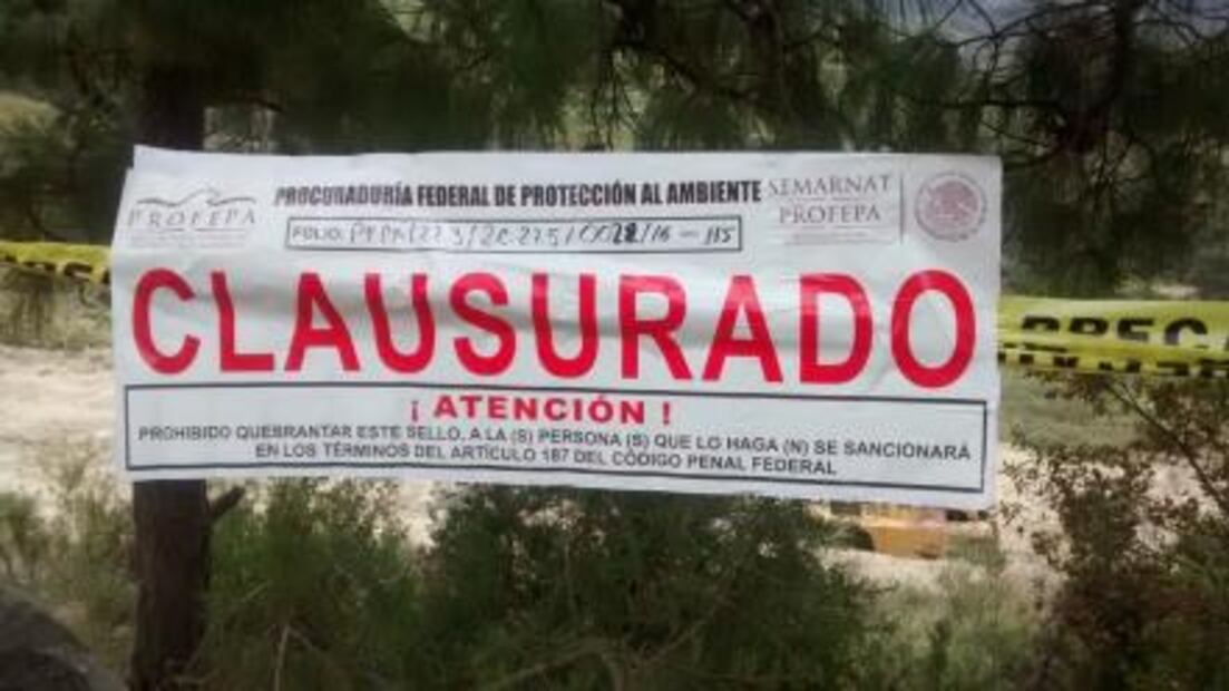 Frena Profepa extracción ilegal de mármol en área forestal