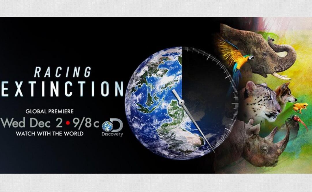 El documental se estrenará mañana a las 21:00 horas a través de Discovery Channel y Animal Planet (Especial)