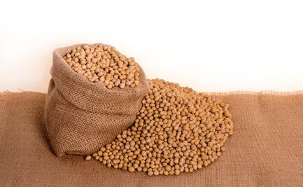 Quiénes no deben comer soya