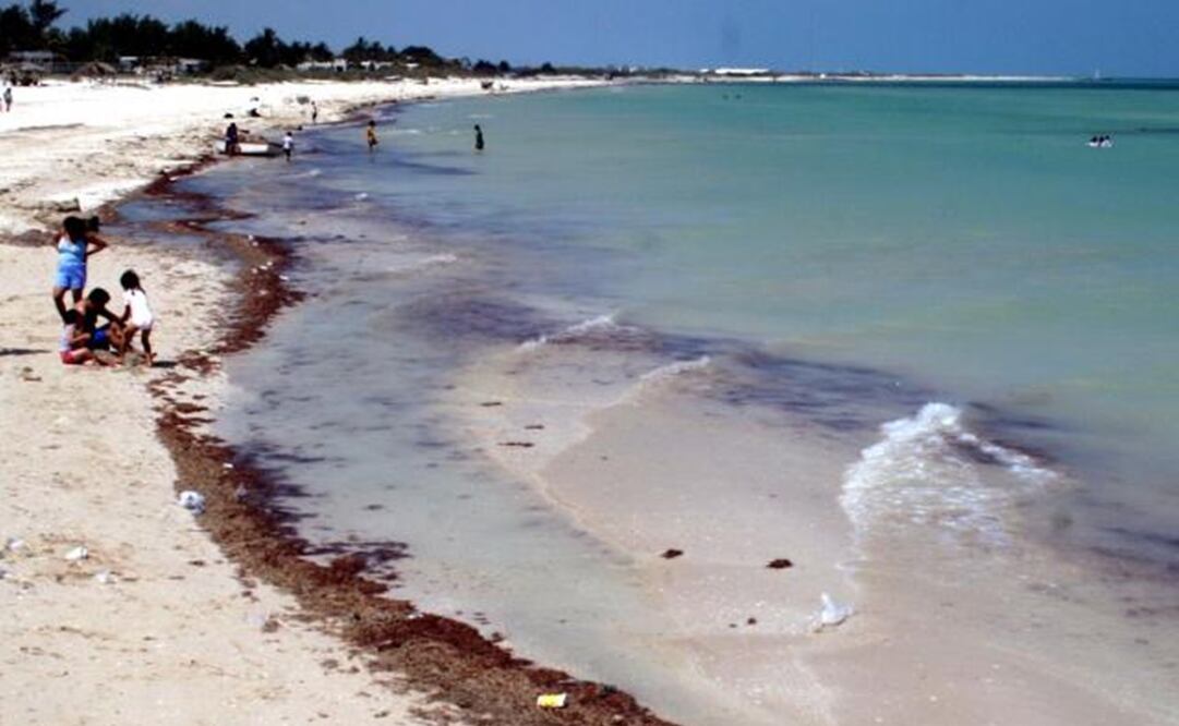 Foto: Archivo EL UNIVERSAL