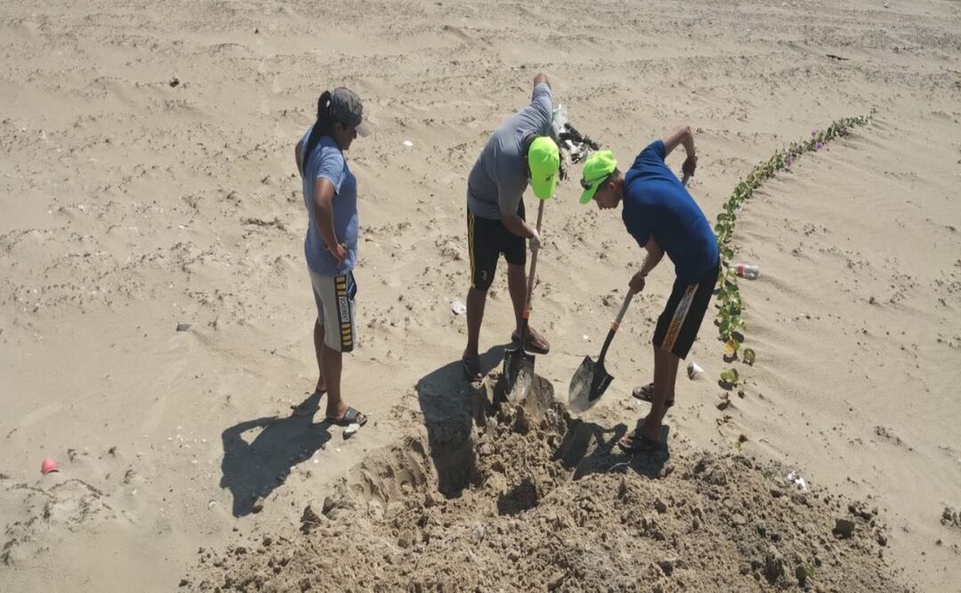 Detectan gripe aviar en gaviotas de Playa Bagdad; sepultan 400 aves en Matamoros. Foto: Especial
