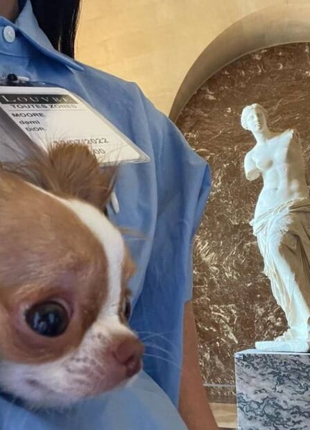 Demi Moore entra al Museo del Louvre con su perrito y la critican en redes