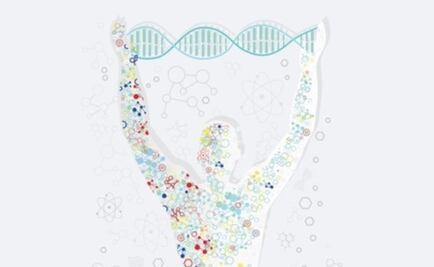 Resuelven el misterio de la organización del ADN