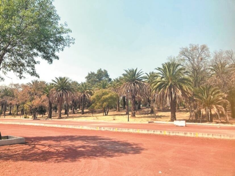Así convertirán un estacionamiento en regenerador ambiental del Bosque de Chapultepec