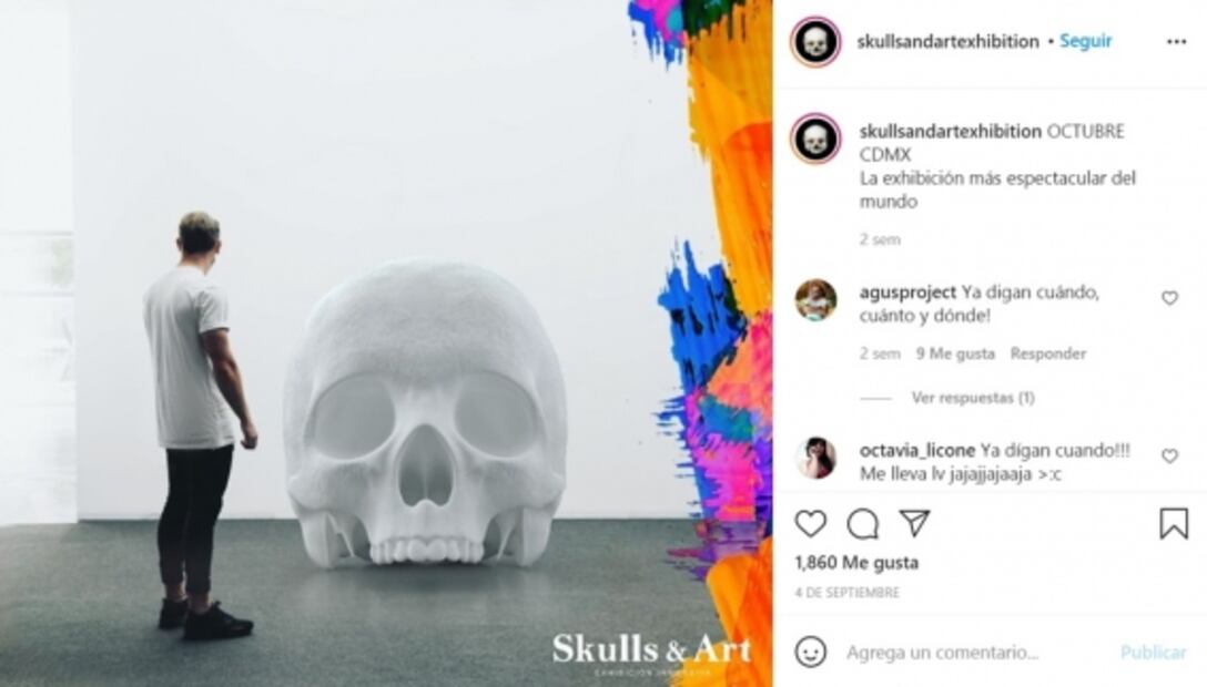 Skull and Art Exhibition. Cuándo empieza la expo inmersiva de calaveras en CDMX