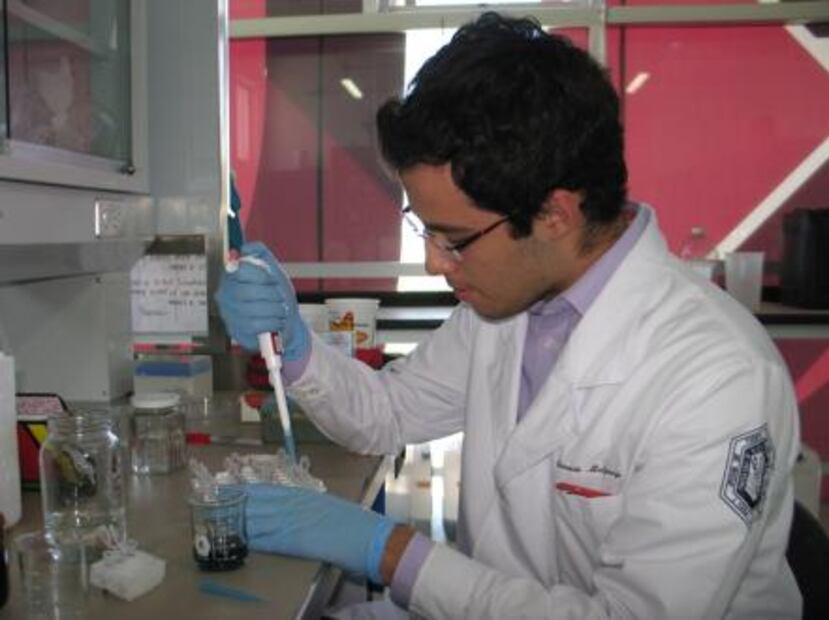 Estudiantes crean bolsa de basura comestible con restos de maíz