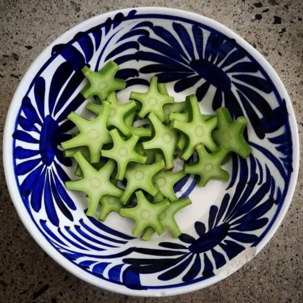 Crucetas, las cactáceas comestibles que ayudan a la salud