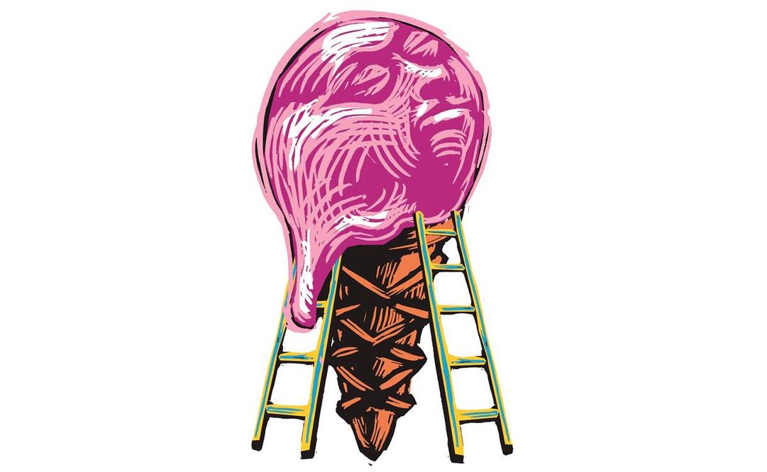 Marcelo y Videgaray, ¿dos apuestas por Trump?