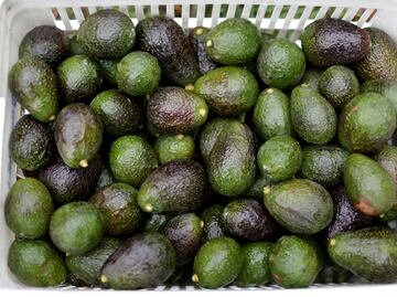 Mexico exports 120K tons of avocado for Super Bowl LIII