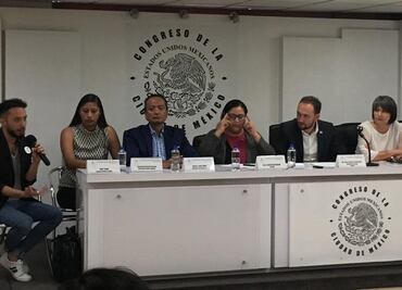 Cárcel a quien someta a menores a terapias de conversión en CDMX, plantea Morena