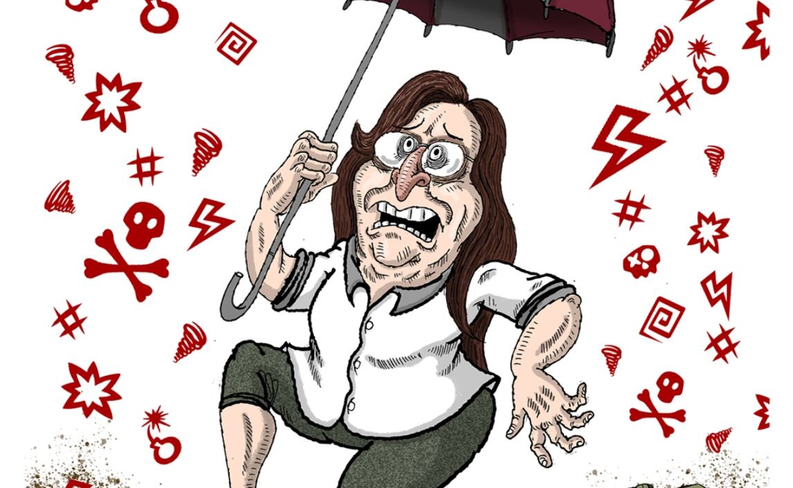 Cartón de FER