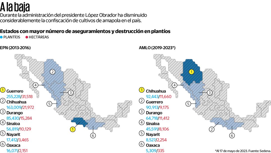   Mantienen 6 estados producción de opio