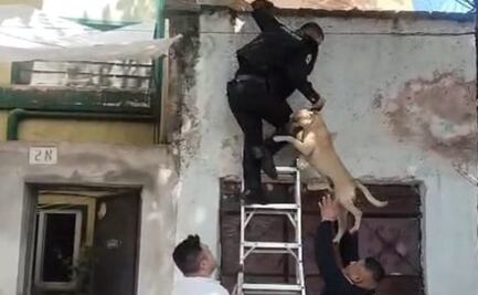 Policías rescatan a perro durante incendio en vivienda de Miguel Hidalgo; bomberos sofocan el fuego