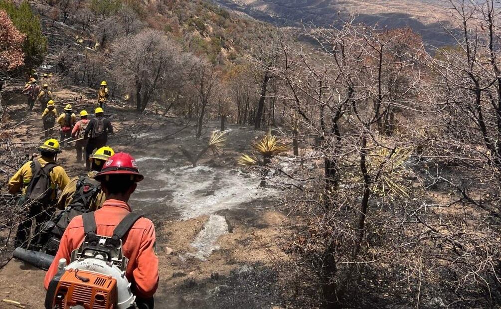 Brigadistas combaten incendio forestal en Sonora (04/07/2025). Foto: Protección Civil Sonora