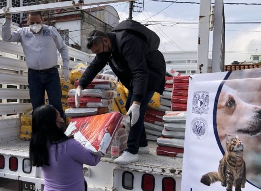 UNAM donates 33 tonnes of pet food in Mexico City