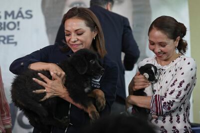 Las mascotas de la política