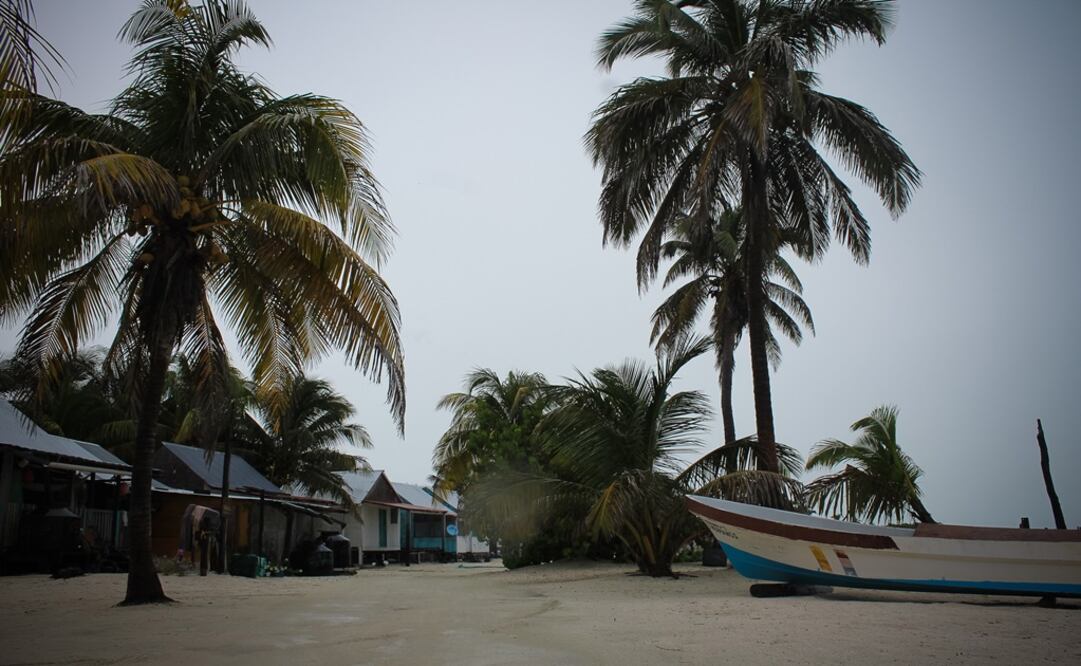 Foto: Archivo/ Notimex