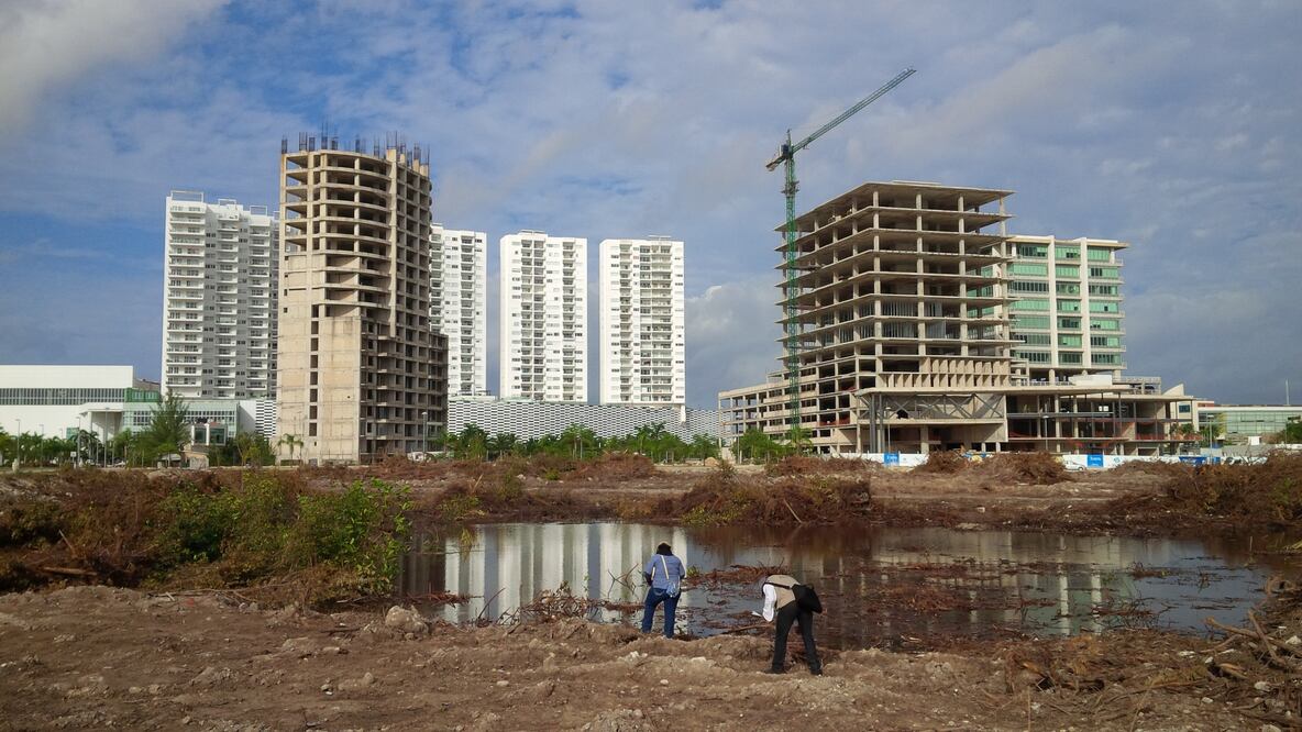 El Tribunal Colegiado le concedió la suspensión provisional, sin solicitar la exhibición de ninguna garantía, bajo el criterio de que desarrollarse en un ambiente sano es un derecho de la colectividad (ADRIANA VARILLAS)