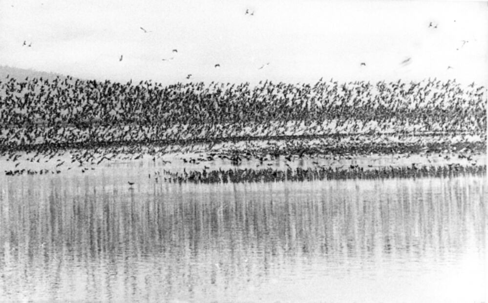 Lago de Texcoco: De pulmón a desierto de sal