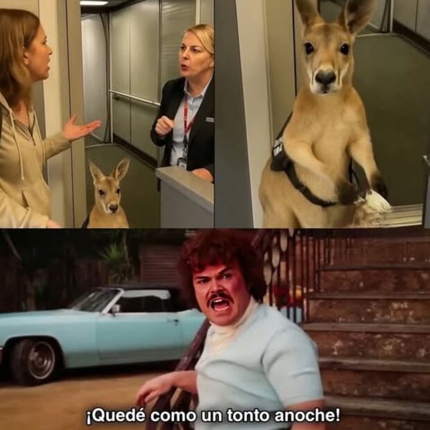 El humor y los comentarios cómicos se hicieron presentes ante la situación. Foto: Facebook/Pulso Pedro Escobedo