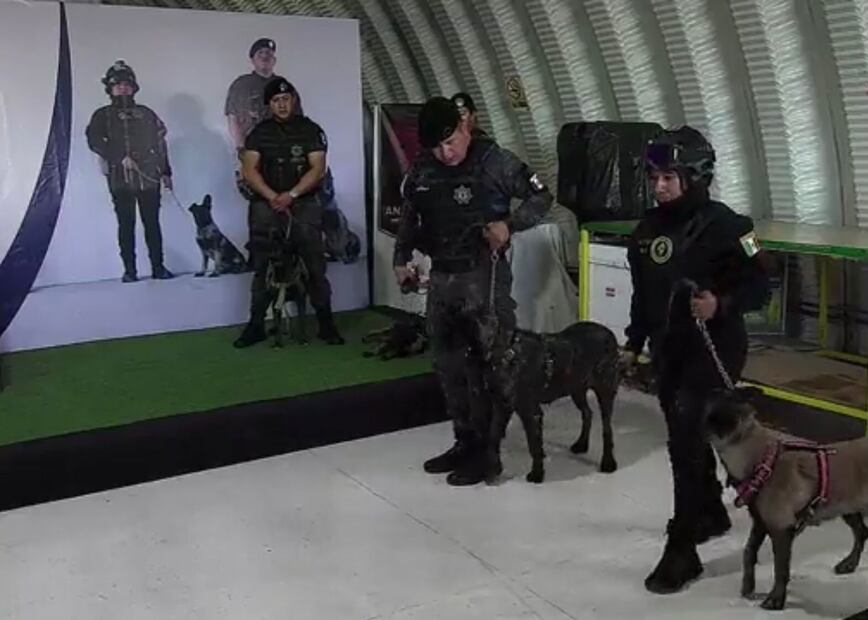 Unidad Canina e Inteligencia K9. FOTO: Especial/ EL UNIVERSAL/