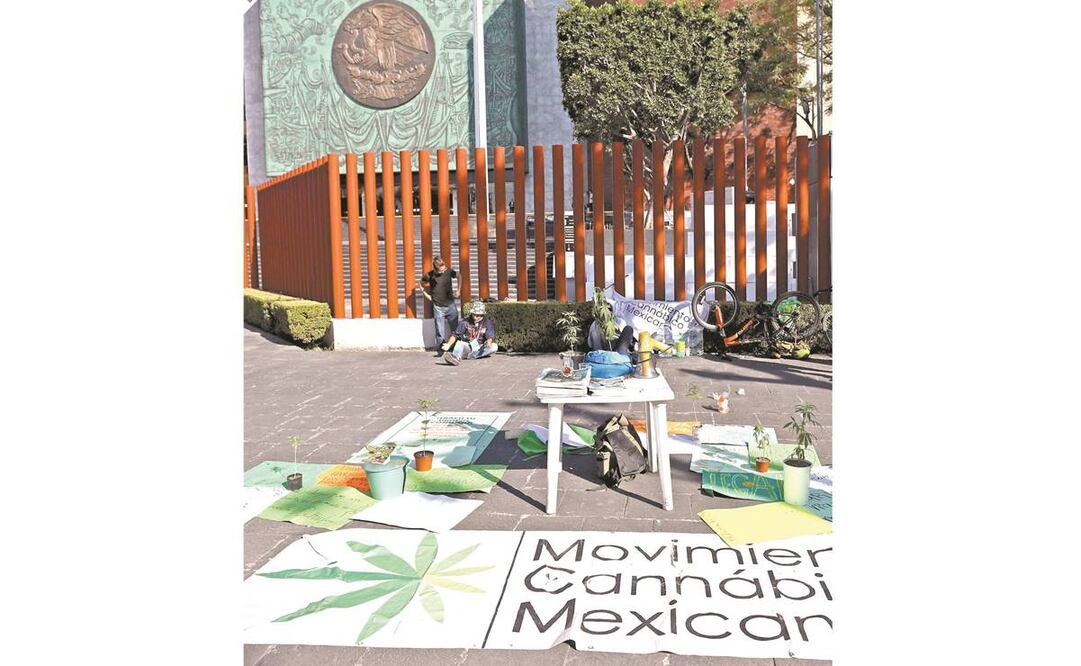 ONG llamaron a replantear la legalización de la marihuana. Foto: ARCHIVO EL UNIVERSAL