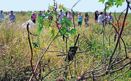 CNDH investiga inhumación irregular en fosas de Morelos