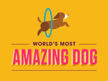 Facebook presenta una serie de competencias caninas