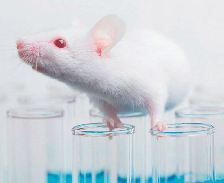 Revelan que tratamiento con proteínas sintéticas conduciría a la cura del VIH: estudio