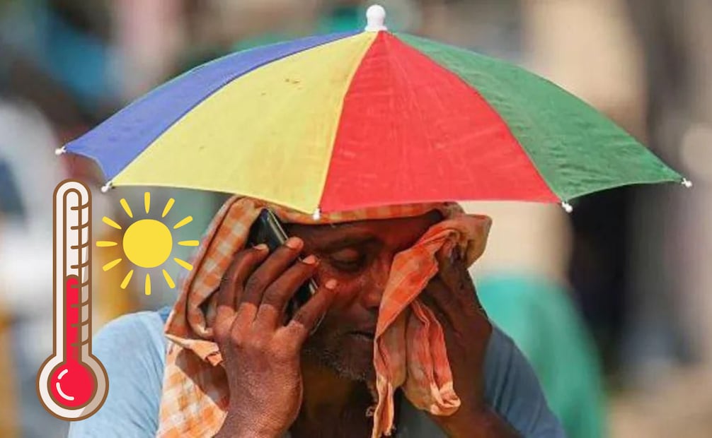 La canícula inicia unas semanas después del solsticio de verano (21 de junio).Foto: Archivo / EL UNIVERSAL