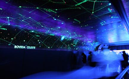 Exponen partes humanas reales en el Túnel de la Ciencia