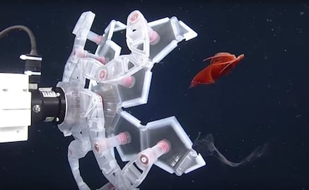  Origami inspira herramienta para capturar especies marinas frágiles