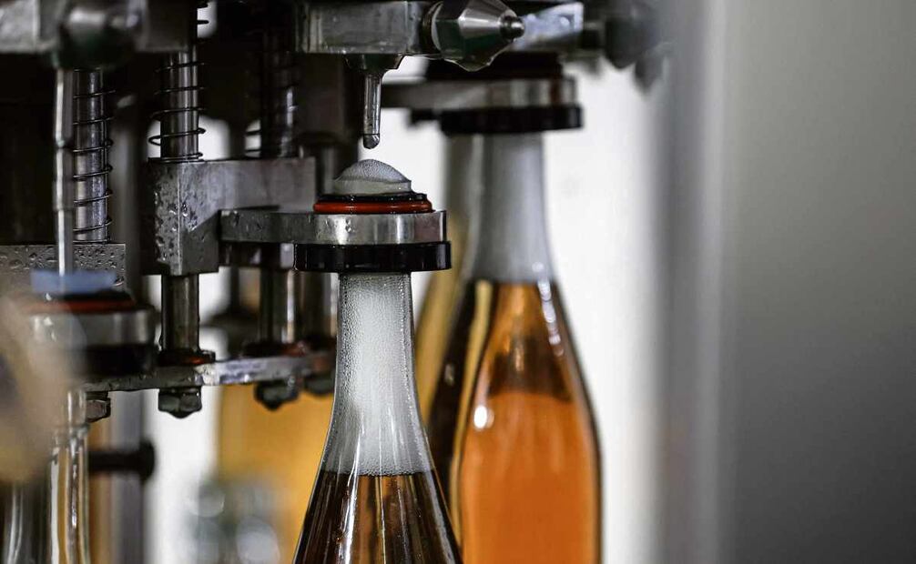 Al año, la familia Morales produce
cerca de 30 mil botellas de la
bebida fermentada. Foto: Gabriel Pano / EL UNIVERSAL