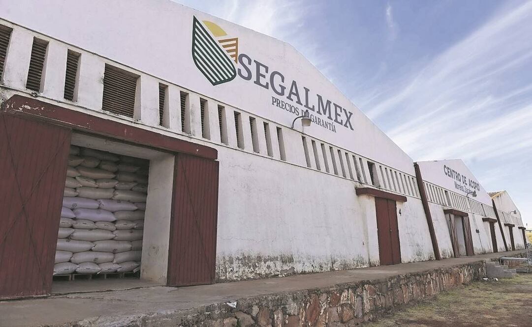 Segalmex es un organismo creado al inicio del sexenio del presidente Andrés Manuel López Obrador y es dirigido por Ignacio Ovalle. La FGR y la UIF investigan desde el año antepasado una trama de corrupción en su operación.  Foto: Archivo/ EL UNIVERSAL.