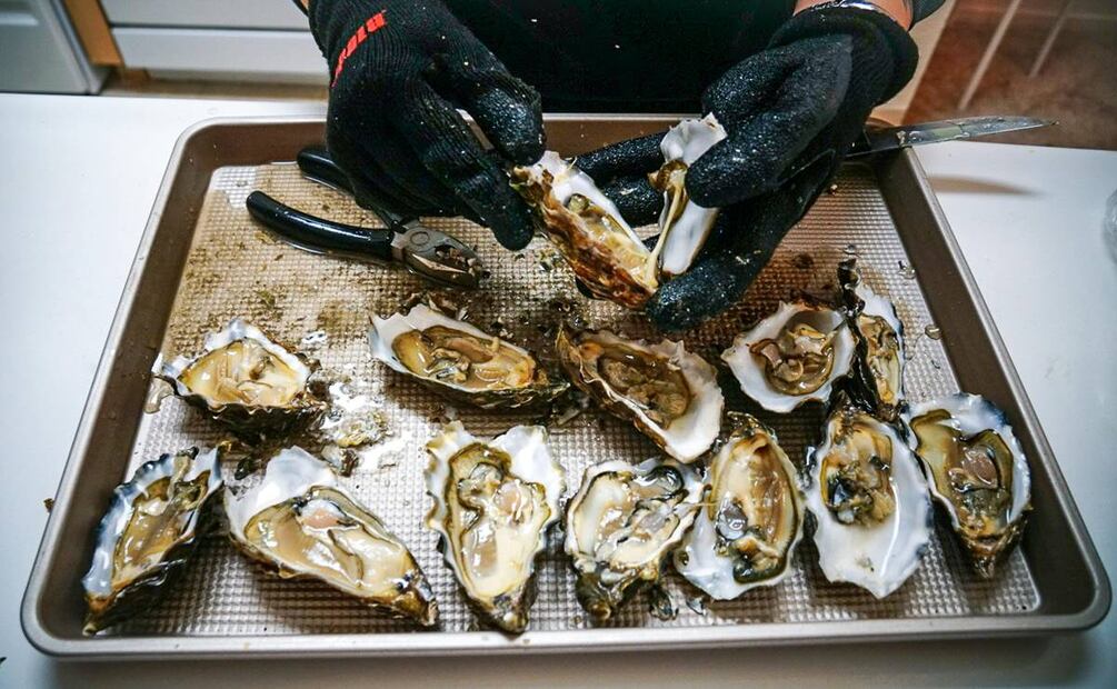 Ostiones. Foto: Pexels
