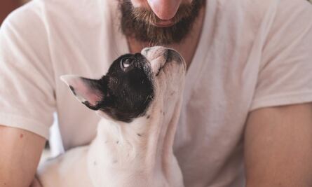 Joven encuentra a perrito que perdió hace 6 años, pero tiene nueva familia y llegan a este particular acuerdo