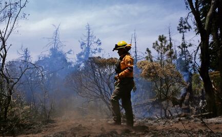 Sedema organiza feria para visibilizar el trabajo de brigadas forestales; buscan reconocer su esfuerzo y compromiso