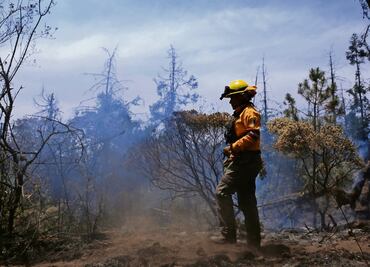 Sedema organiza feria para visibilizar el trabajo de brigadas forestales; buscan reconocer su esfuerzo y compromiso