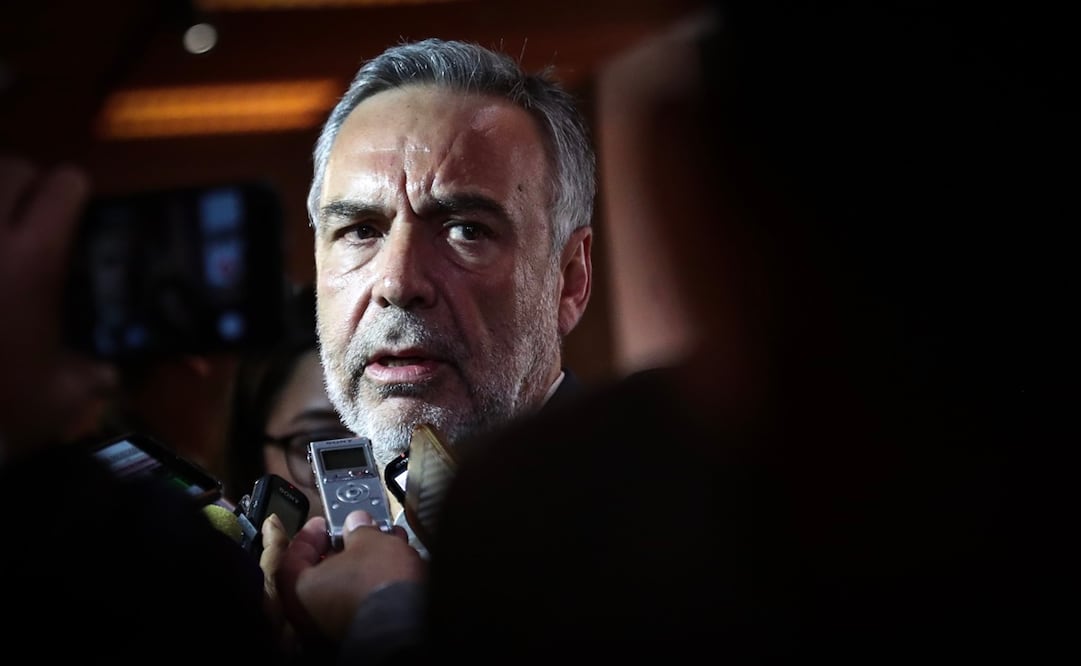 Foto: Archivo. EL UNIVERSAL