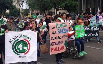 Niños que toman Cannabidiol van al frente de la marcha por la marihuana