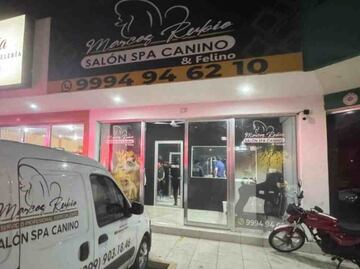 Perrito muere asfixiado por negligencia en estética canina de Mérida