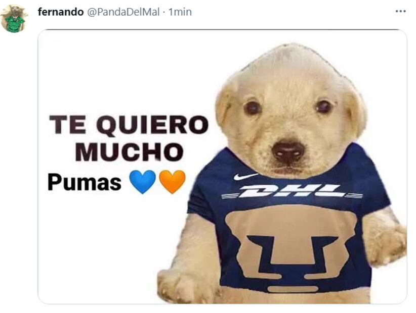 Los mejores memes de la victoria de Pumas sobre Atlético de San Luis