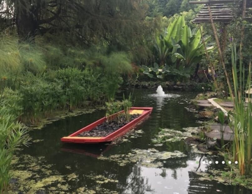 Qué actividades son gratis en el Bosque de Chapultepec