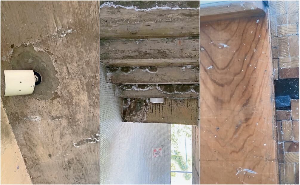 Alumnos dan cuenta del nulo mantenimiento de la infraestructura: hay lámparas desprendidas y techos y paredes con humedad. Fotos: Especial
